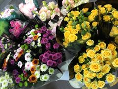 -宝鸡东道花鸟鱼虫市场(吉利花园商场店)