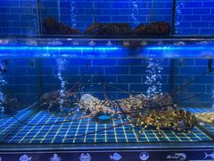 -简家·海鲜盛宴(下沙店)