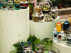 -杭州君悦酒店