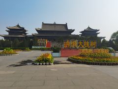 -大槐树寻根祭祖园