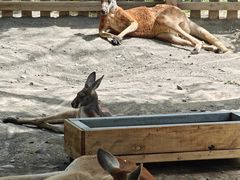 -水上乐园·欢乐世界