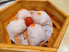 -正哥点心皇子(锦江国际广场店)