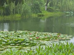 -金银湖国家城市湿地公园