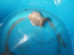 -东戴河风景区-止锚湾