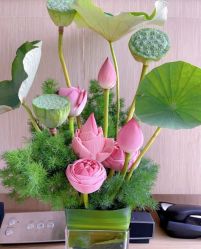 -baby bella小贝拉母婴护理中心(北京东隅店)