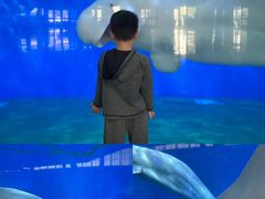 -泉城欧乐堡海洋极地世界