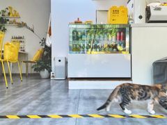 -五进制 Coffee Shop