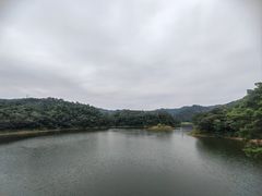 -佛山市三水区大南山森林公园