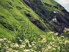 -萍乡武功山风景名胜区