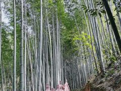 -崀山风景名胜区