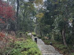 -岳麓山风景名胜区