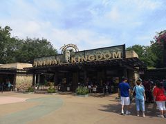 -奥兰多迪士尼动物王国乐园