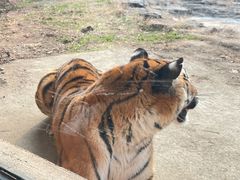 -杭州野生动物世界