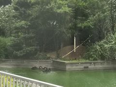 -园林格兰云天大酒店-太极名厨中餐厅