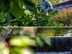 -石岛赤山风景区