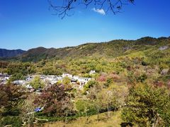 -塔川景区