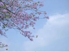 -优逸酒店(柳州窑埠古镇万象城店)