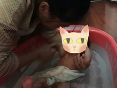 -田螺阿姨自营月嫂·育儿嫂(高新店)