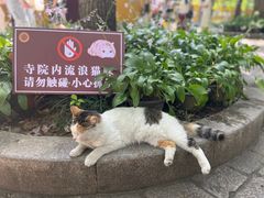 -西园戒幢律寺