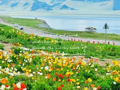 -赛里木湖风景名胜区