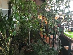 -向阳庄烧烤店(望京西园店)