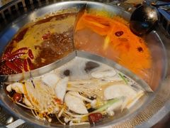 -辣伍鲜毛肚老火锅(元一店)