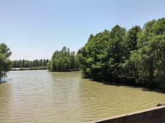 -上海海湾国家森林公园