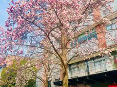 -南京晨光1865创意产业园