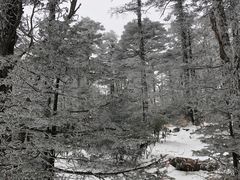 -秦岭风景区
