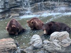 -北京野生动物园