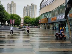 -盒马鲜生(杨高南路店)