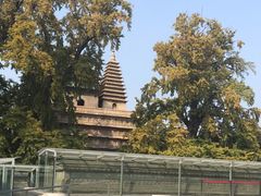 -北京石刻艺术博物馆(五塔寺)
