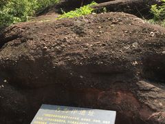 -广州七星岗古海岸遗址科学公园