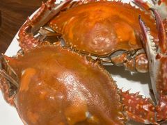 -北塘海鲜·天津菜(大光明桥旗舰店)