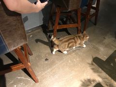 -咖法森林·咖啡  酒吧(天河店)