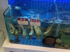 iphone_upload_pic-金苑海鲜酒家(来魅力店)