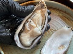 -普朗姆生蚝牛排馆 The Plump Oyster(成都摩方购物中心店)