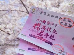 -顾村公园