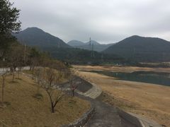 -清溪森林公园