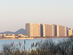 -钱塘江