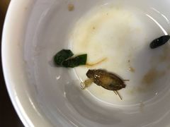 -幽优农庄·森波拉特色本地农家菜