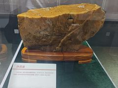 -中国第四纪冰川遗迹陈列馆