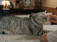 -隅cafe(傅厚岗店)