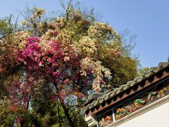 -深圳国际园林花卉博览园