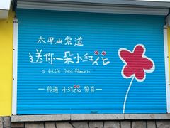 -青岛海滨风景区