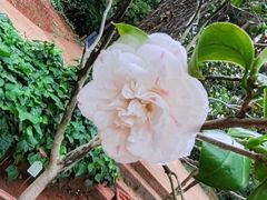 -昆明市金殿名胜区