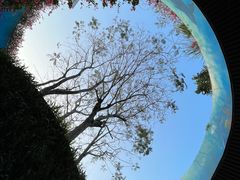 -海花岛旅游度假区
