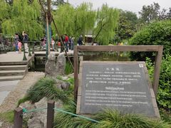 -西湖外事游船(花港观鱼码头)