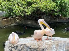 -昆明动物园