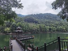 -江西阳明山国家森林公园